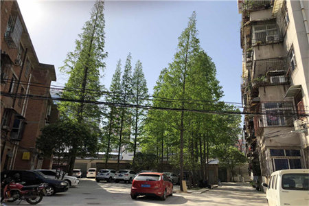 南城区一楼带院3室2厅1卫56万110m2简单装修出售